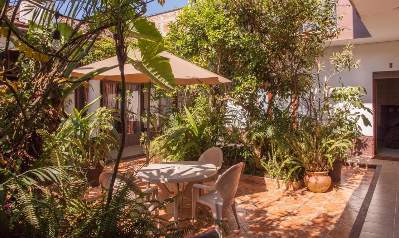 Posada Galeria Alberto Sedas Huatusco Ngoại thất bức ảnh