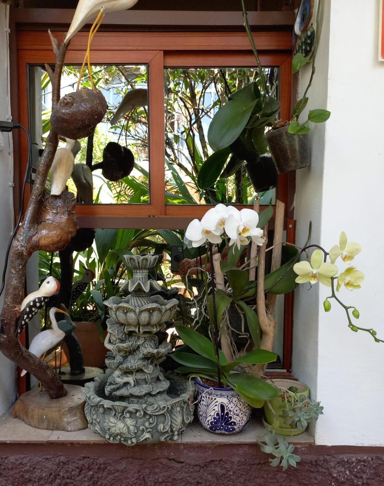 Posada Galeria Alberto Sedas Huatusco Ngoại thất bức ảnh