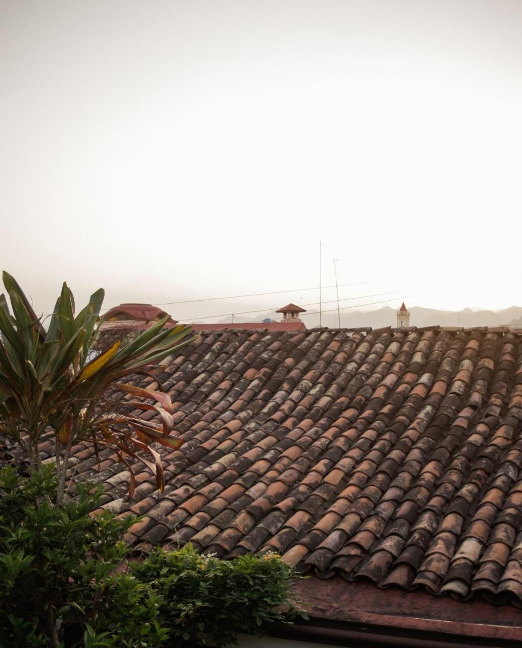 Posada Galeria Alberto Sedas Huatusco Ngoại thất bức ảnh