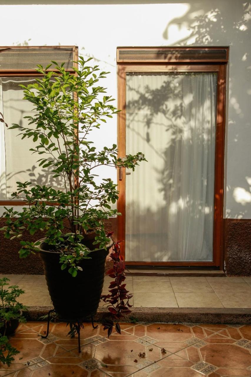 Posada Galeria Alberto Sedas Huatusco Ngoại thất bức ảnh