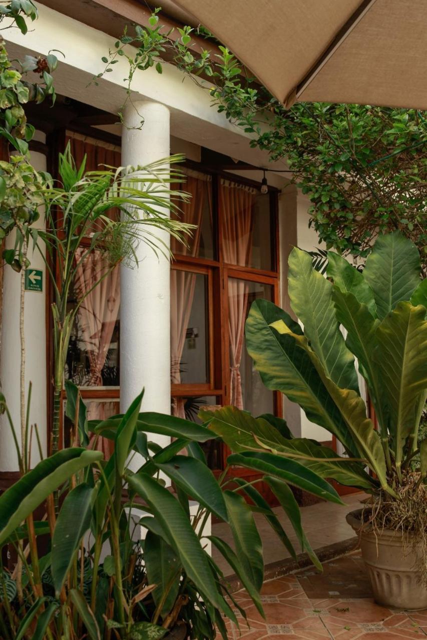 Posada Galeria Alberto Sedas Huatusco Ngoại thất bức ảnh